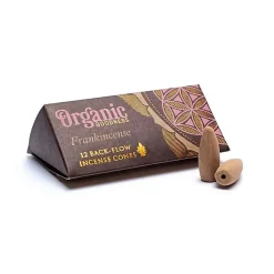 Cônes à refoulement Organic - paquets de 24g