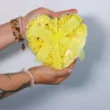 Fleurs de savon - Coeur de 24 roses