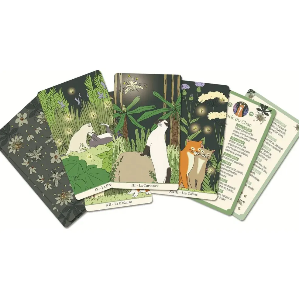 Les Oracles de la Sorcière – Jeu de divination ésotérique