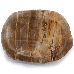 Porte savon marron en bois pétrifié